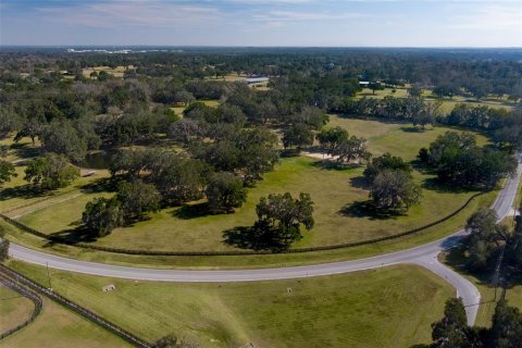 Land in Ocala, Florida № 1525957 - photo 3