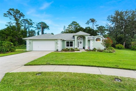 Villa ou maison à Port Orange, Floride 3 chambres, 186.55 m2 № 2310102