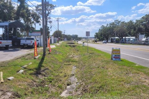 Immobilier commercial à vendre à Tampa, Floride: 365.66 m2 № 2376710 - photo 4