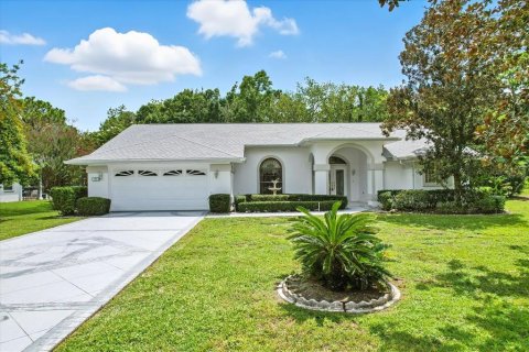 Villa ou maison à vendre à Homosassa, Floride: 3 chambres, 221.01 m2 № 1905326 - photo 1