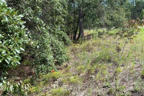 Land in Dunnellon, Florida № 2373023 - photo 5