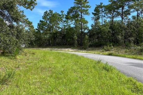 Land in Dunnellon, Florida № 2373023 - photo 10