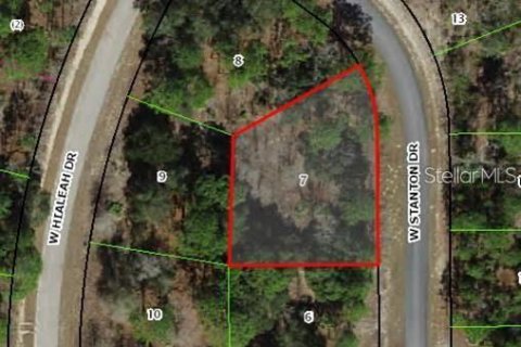 Land in Dunnellon, Florida № 2373023 - photo 9