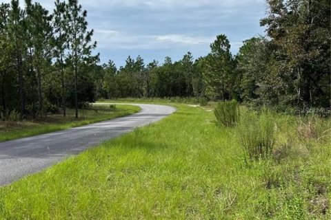 Land in Dunnellon, Florida № 2373023 - photo 11