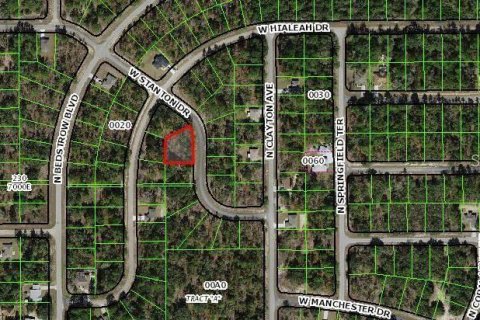 Land in Dunnellon, Florida № 2373023 - photo 4