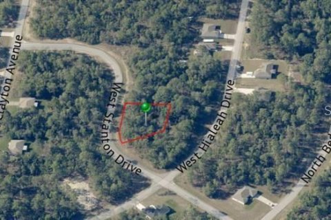 Land in Dunnellon, Florida № 2373023 - photo 2