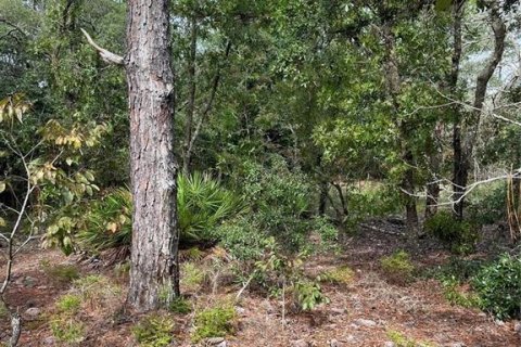 Land in Dunnellon, Florida № 2373023 - photo 7