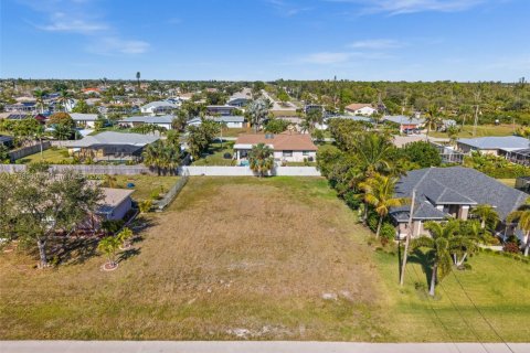 Terreno en venta en Cape Coral, Florida № 1861111 - foto 2