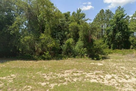 Land in Ocala, Florida № 2375847