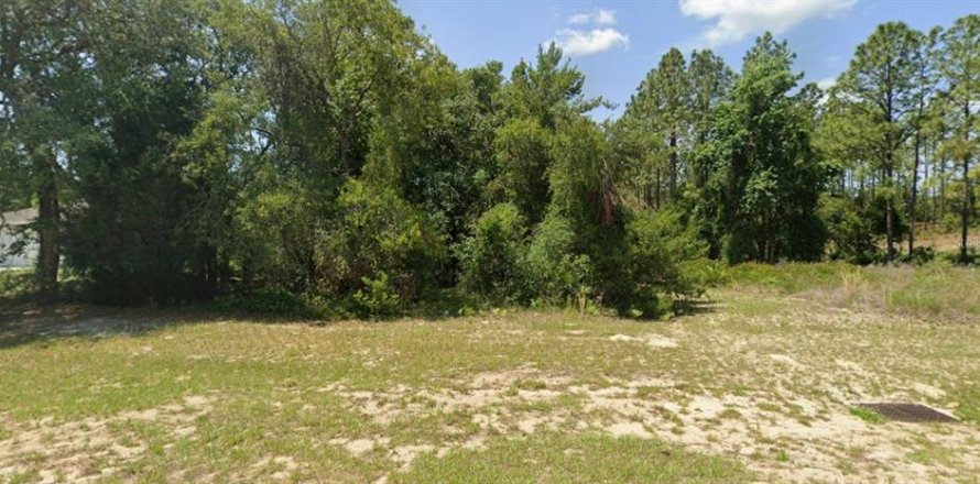 Land in Ocala, Florida № 2375847
