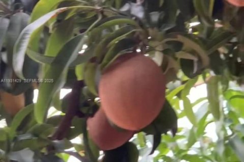 Купить виллу или дом в Майами, Флорида 4 спальни, 199м2, № 2034603 - фото 20