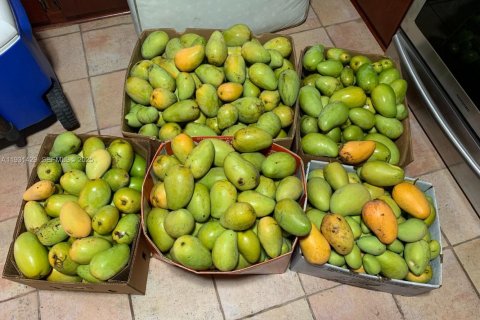 Купить виллу или дом в Майами, Флорида 4 спальни, 199м2, № 2034603 - фото 28