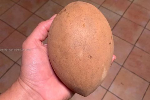 Купить виллу или дом в Майами, Флорида 4 спальни, 199м2, № 2034603 - фото 18