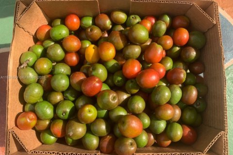 Купить виллу или дом в Майами, Флорида 4 спальни, 199м2, № 2034603 - фото 24