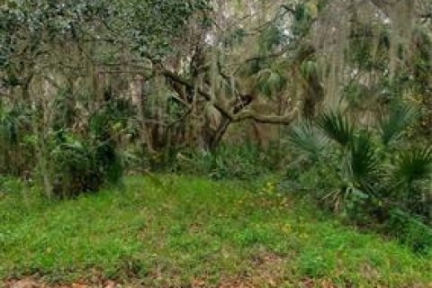 Land in Lake Wales, Florida № 259738 - photo 1