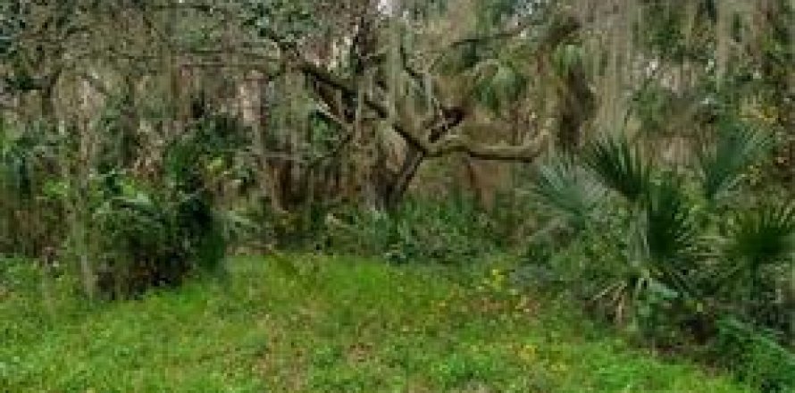 Land in Lake Wales, Florida № 259738