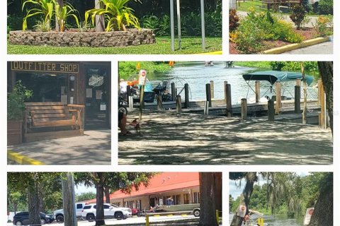 Land in Lake Wales, Florida № 259738 - photo 7