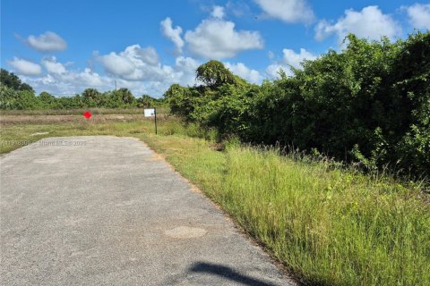 Купить земельный участок в Лихай-Эйкерс, Флорида № 1972675 - фото 1