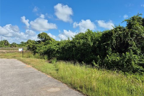 Купить земельный участок в Лихай-Эйкерс, Флорида № 1972675 - фото 2