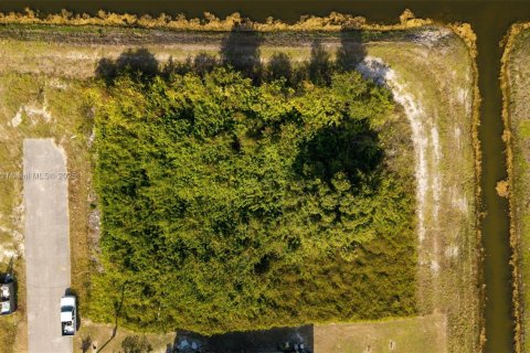 Купить земельный участок в Лихай-Эйкерс, Флорида № 1972675 - фото 4