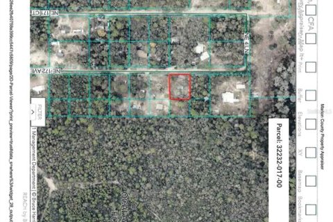House in Silver Springs Shores, Florida 2 bedrooms, 51.28 sq.m. № 2393573 - photo 17