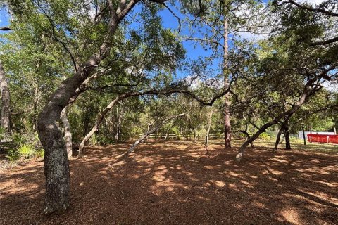 House in Silver Springs Shores, Florida 2 bedrooms, 51.28 sq.m. № 2393573 - photo 28