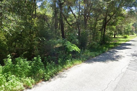 Land in Ocala, Florida № 1792860 - photo 2