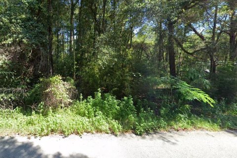 Land in Ocala, Florida № 1792860 - photo 1