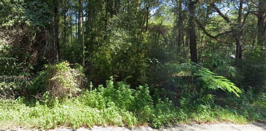 Land in Ocala, Florida № 1792860
