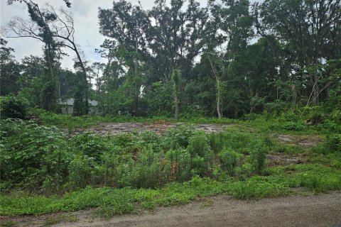 Land in Ocala, Florida № 2159555