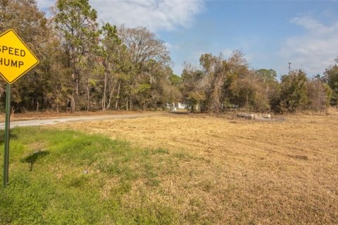 Terrain à vendre à Starke, Floride № 1525238 - photo 2