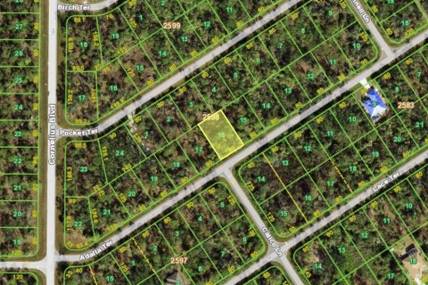 Land in Port Charlotte, Florida № 2229034 - photo 2