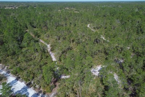 Terreno en venta en Pierson, Florida № 1591971 - foto 13