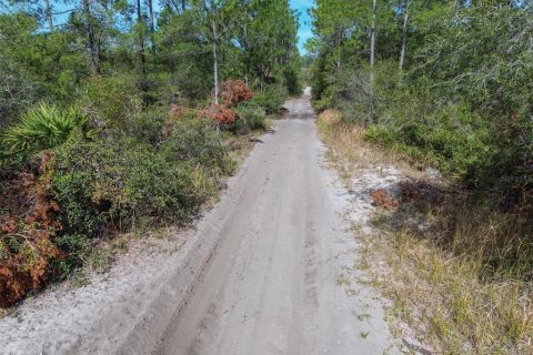 Terreno en venta en Pierson, Florida № 1591971 - foto 15