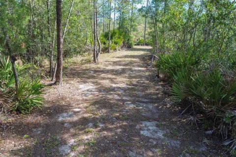 Terreno en venta en Pierson, Florida № 1591971 - foto 2