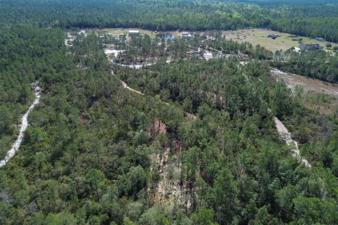 Terreno en venta en Pierson, Florida № 1591971 - foto 10