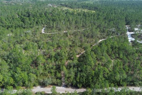 Terreno en venta en Pierson, Florida № 1591971 - foto 8