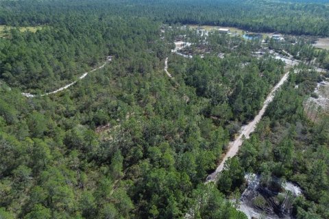 Terreno en venta en Pierson, Florida № 1591971 - foto 11