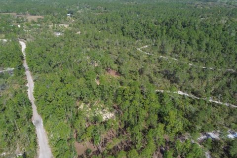 Terreno en venta en Pierson, Florida № 1591971 - foto 12