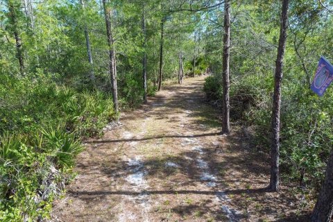 Terreno en venta en Pierson, Florida № 1591971 - foto 5