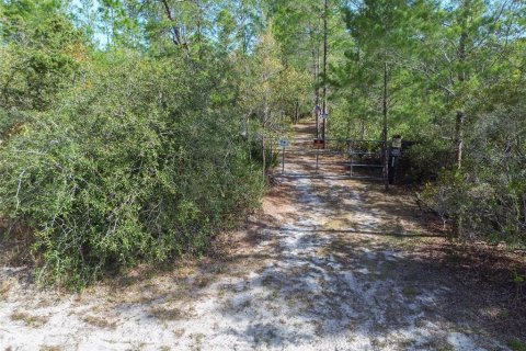 Terreno en venta en Pierson, Florida № 1591971 - foto 3