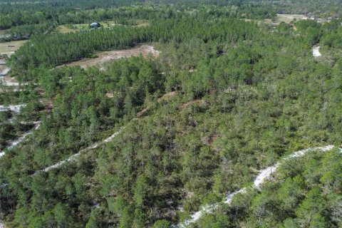 Terreno en venta en Pierson, Florida № 1591971 - foto 9