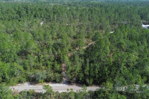 Terreno en venta en Pierson, Florida № 1591971 - foto 7