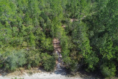 Terreno en venta en Pierson, Florida № 1591971 - foto 6