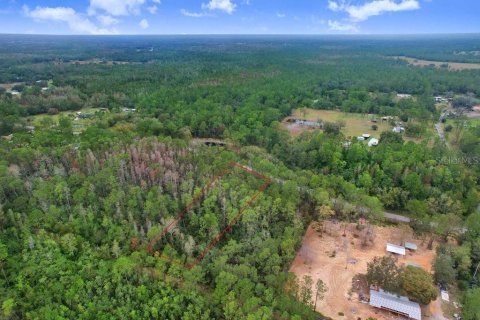Land in Polk City, Florida № 2165446