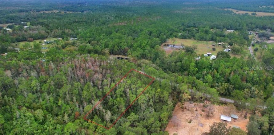 Terrain à Polk City, Floride № 2165446