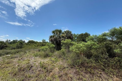 Propiedad comercial en Okeechobee, Florida № 2158508