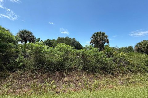 Propiedad comercial en venta en Okeechobee, Florida № 2158508 - foto 3