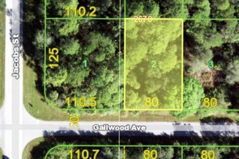Land in Port Charlotte, Florida № 2228873
