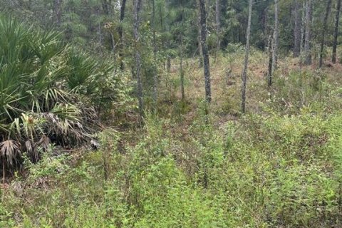 Land in Ocala, Florida № 2162895